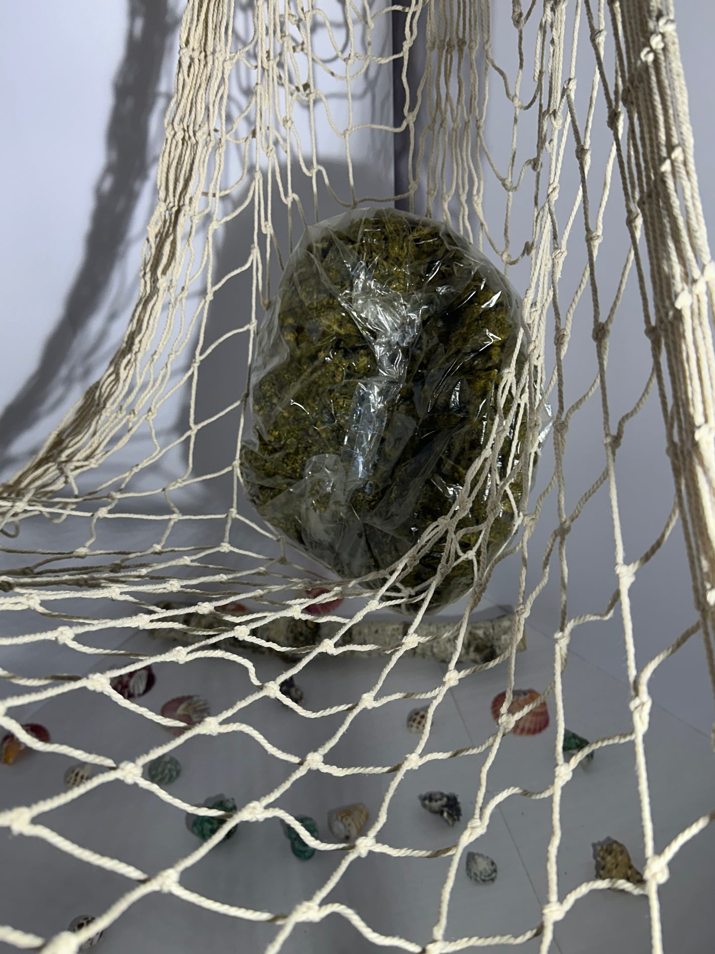 Cape Fear Kush