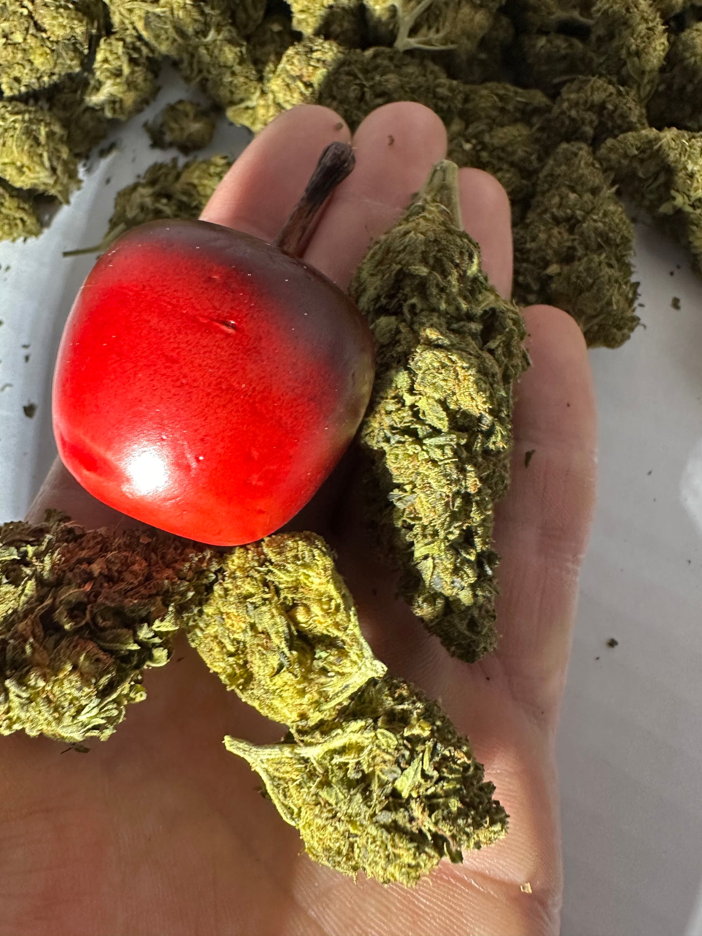 Cape Fear Kush