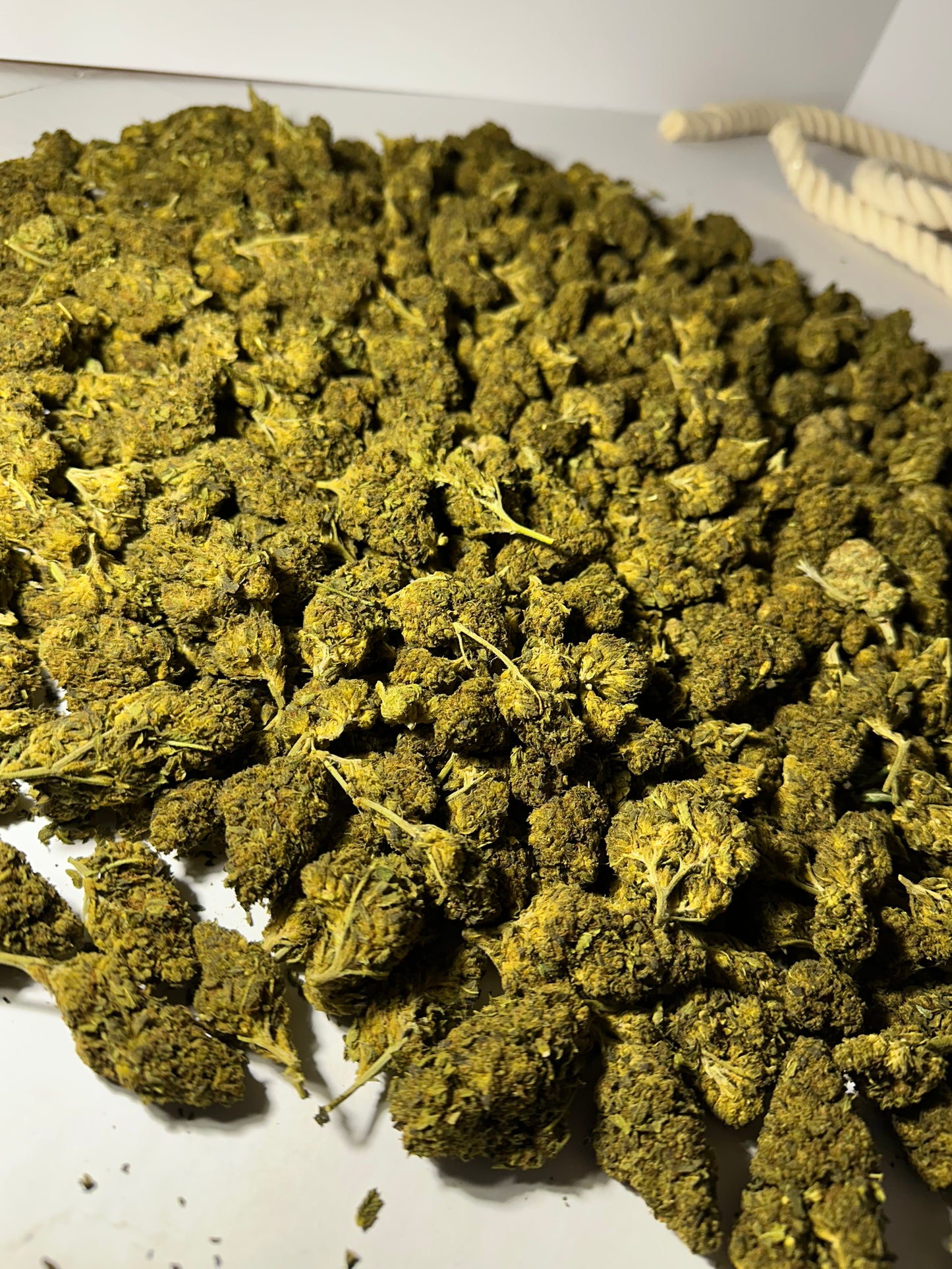 Cape Fear Kush