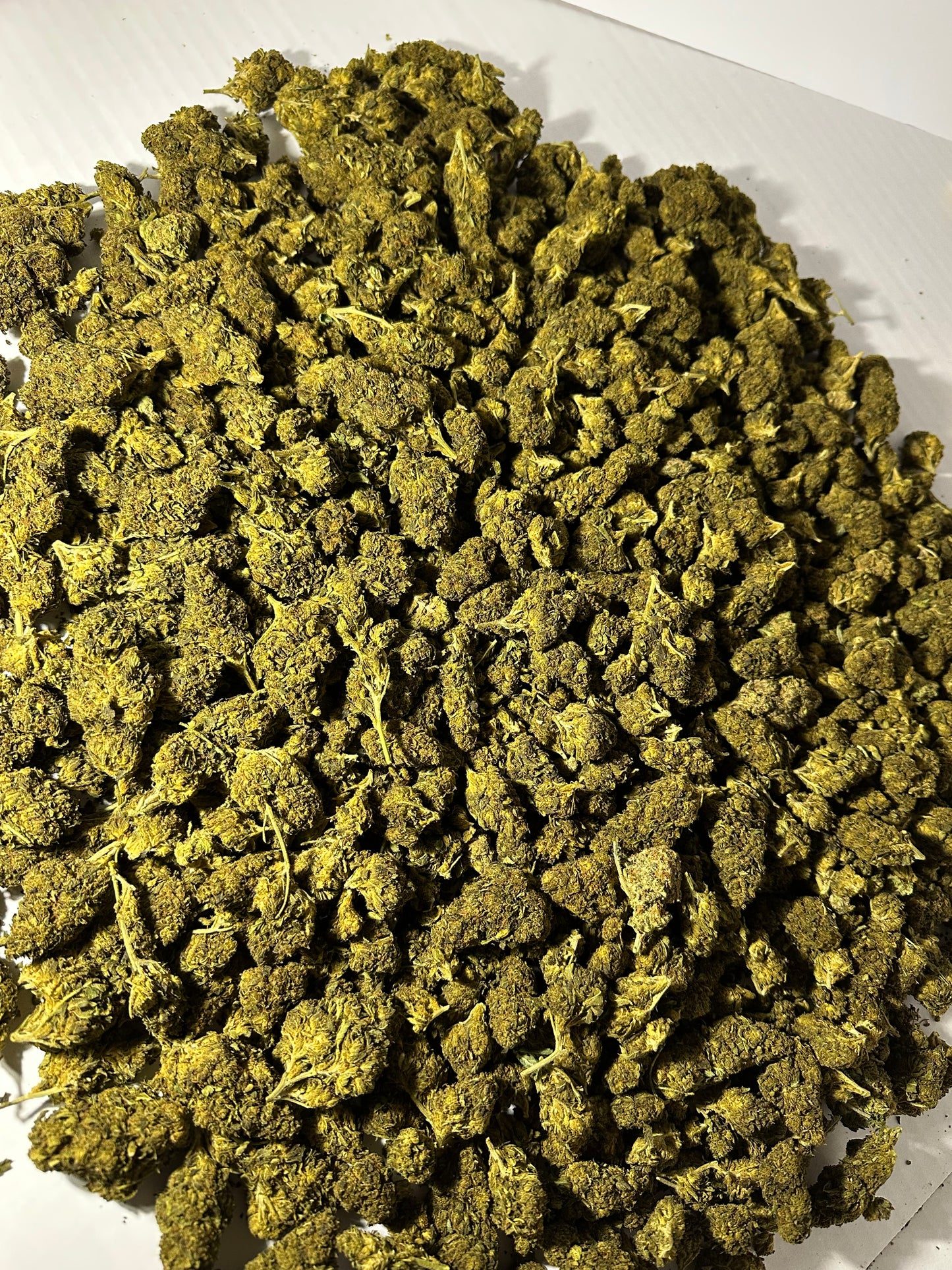 Cape Fear Kush