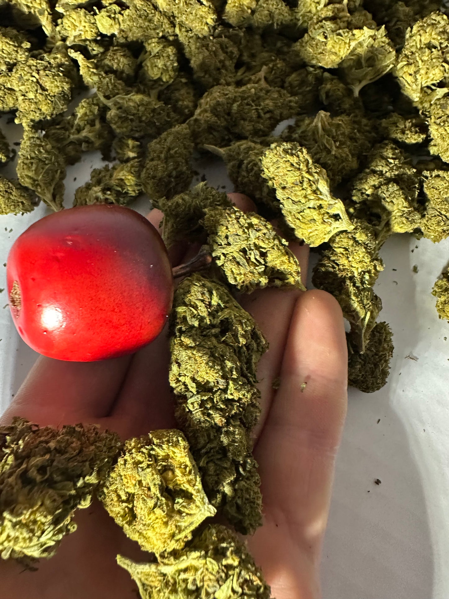 Cape Fear Kush